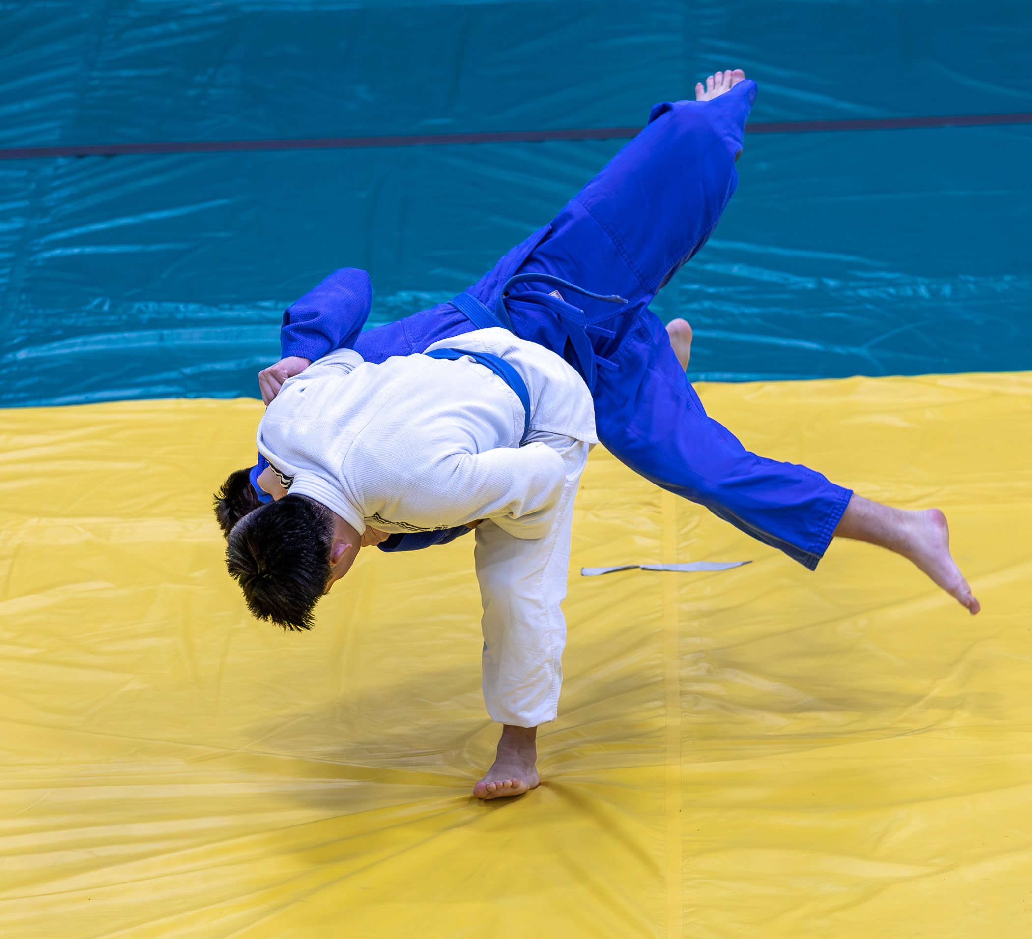 A judoka in white throwing a partner in blue